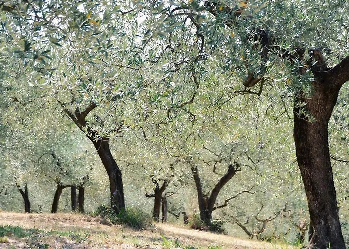 B&B Lavanda E Rosmarino
