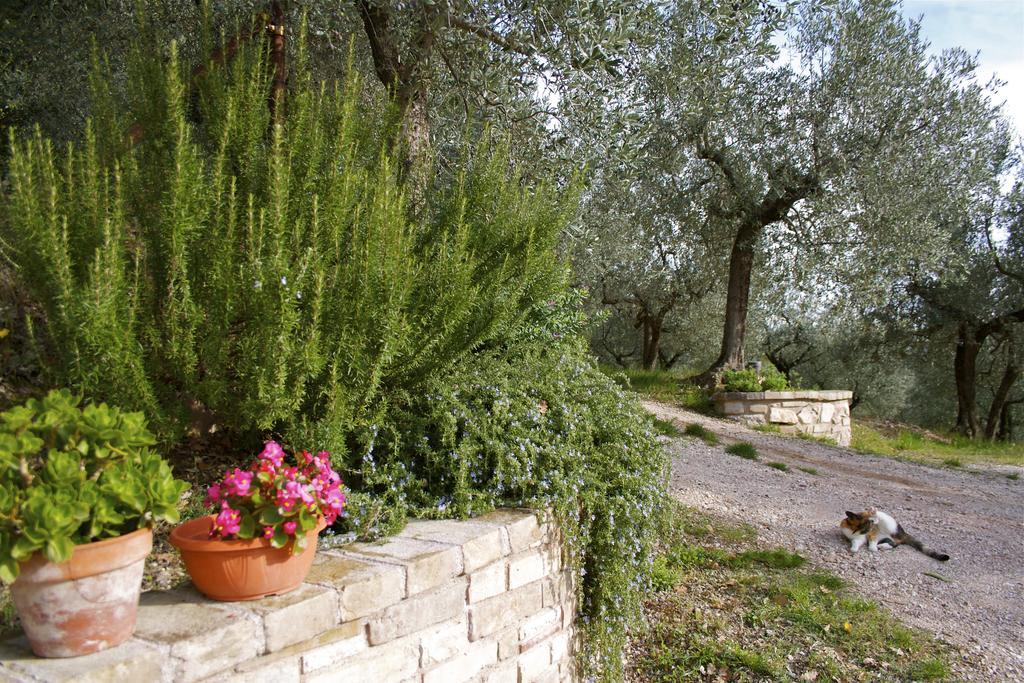 Bed & Breakfast Lavanda E Rosmarino 2*