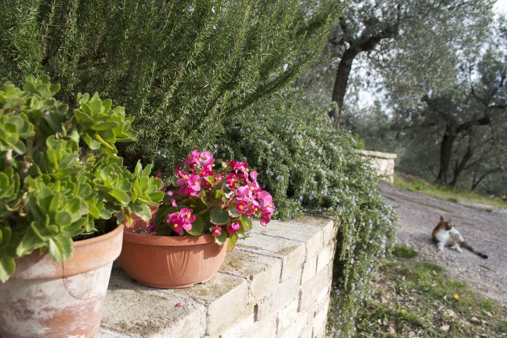 Lavanda E Rosmarino Bed & Breakfast