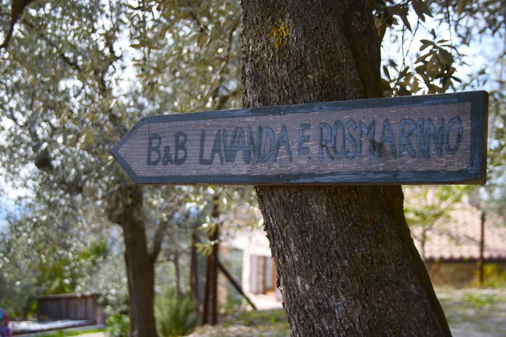 Bed & Breakfast Lavanda E Rosmarino Assisi
