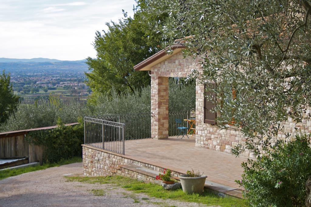 Lavanda E Rosmarino