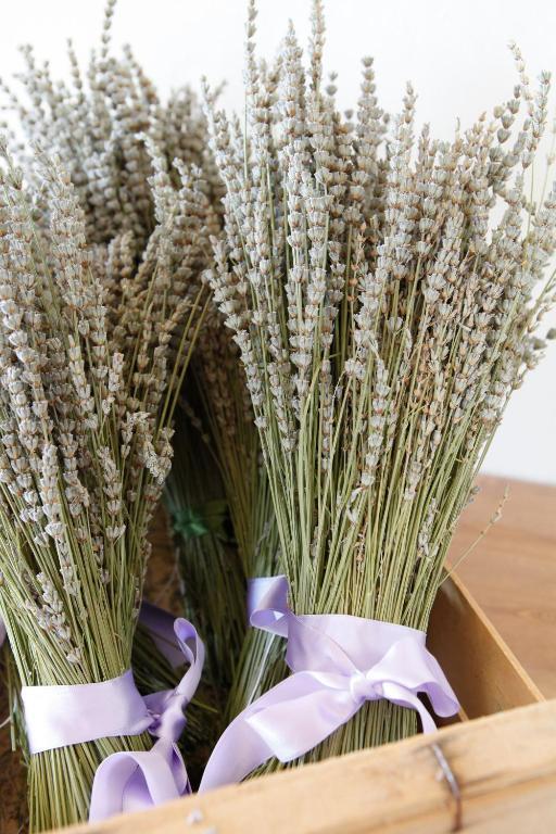 Lavanda E Rosmarino Assisi