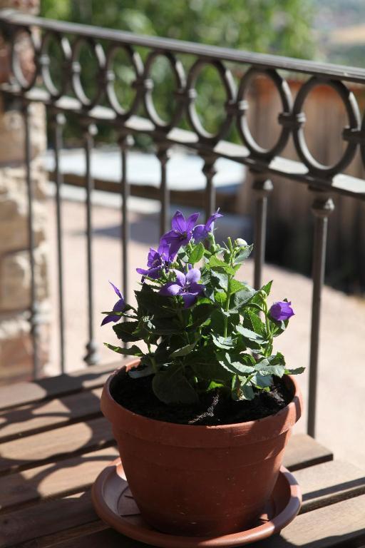 Lavanda E Rosmarino Bed & Breakfast