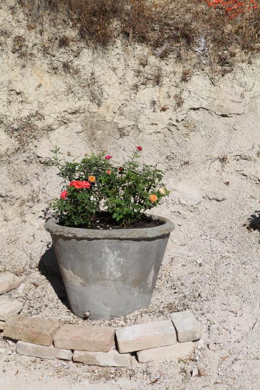 Bed & Breakfast Lavanda E Rosmarino 2*