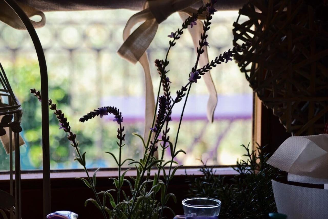Bed & Breakfast Lavanda E Rosmarino