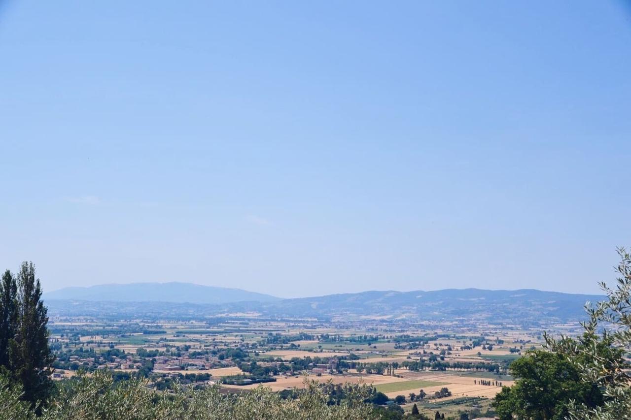 Lavanda E Rosmarino Bed & Breakfast